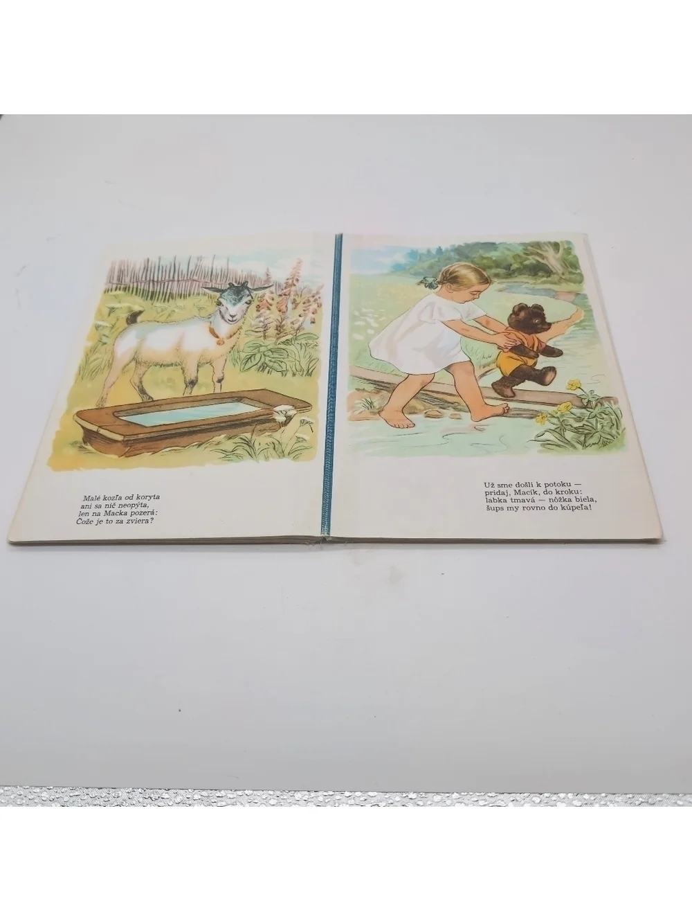 Slovakian Children's Book MÔJ MACÍK Pet Bear Story